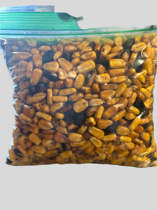 Maiz Tostado Bolsa Grande