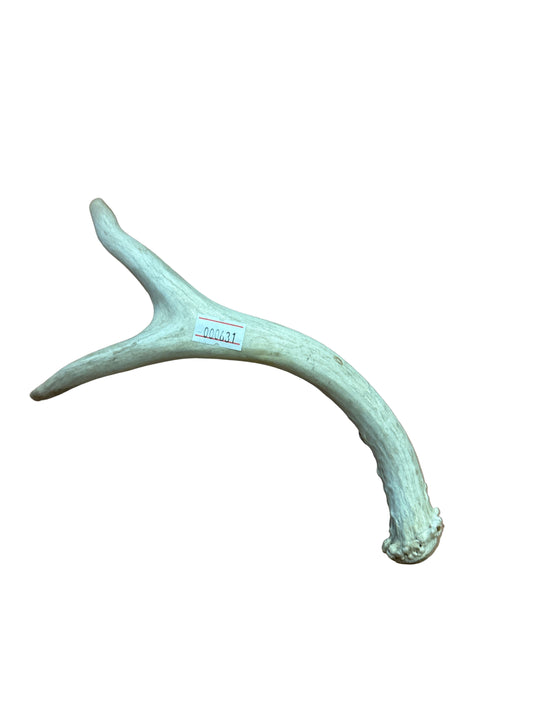 Irofa